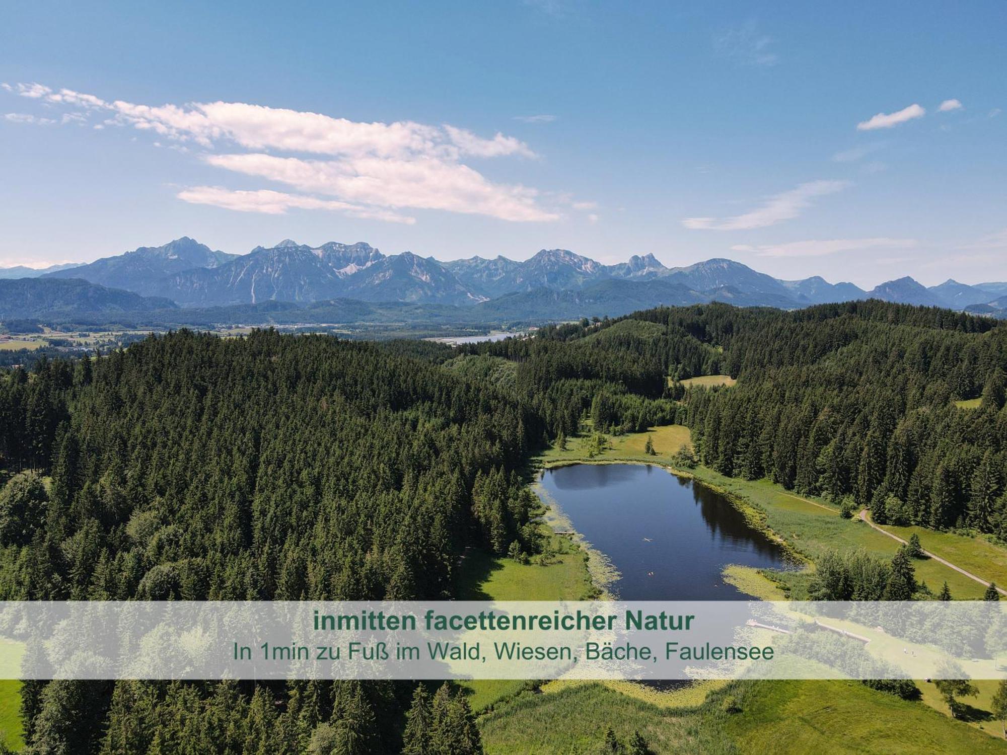 Chalet - Ferienwohnungen - Biohof Stoeger - Panoramasuedbalkon - Grandiose Aussicht Auf See, Berge Und Schloss Neuschwanstein Rieden Exterior foto