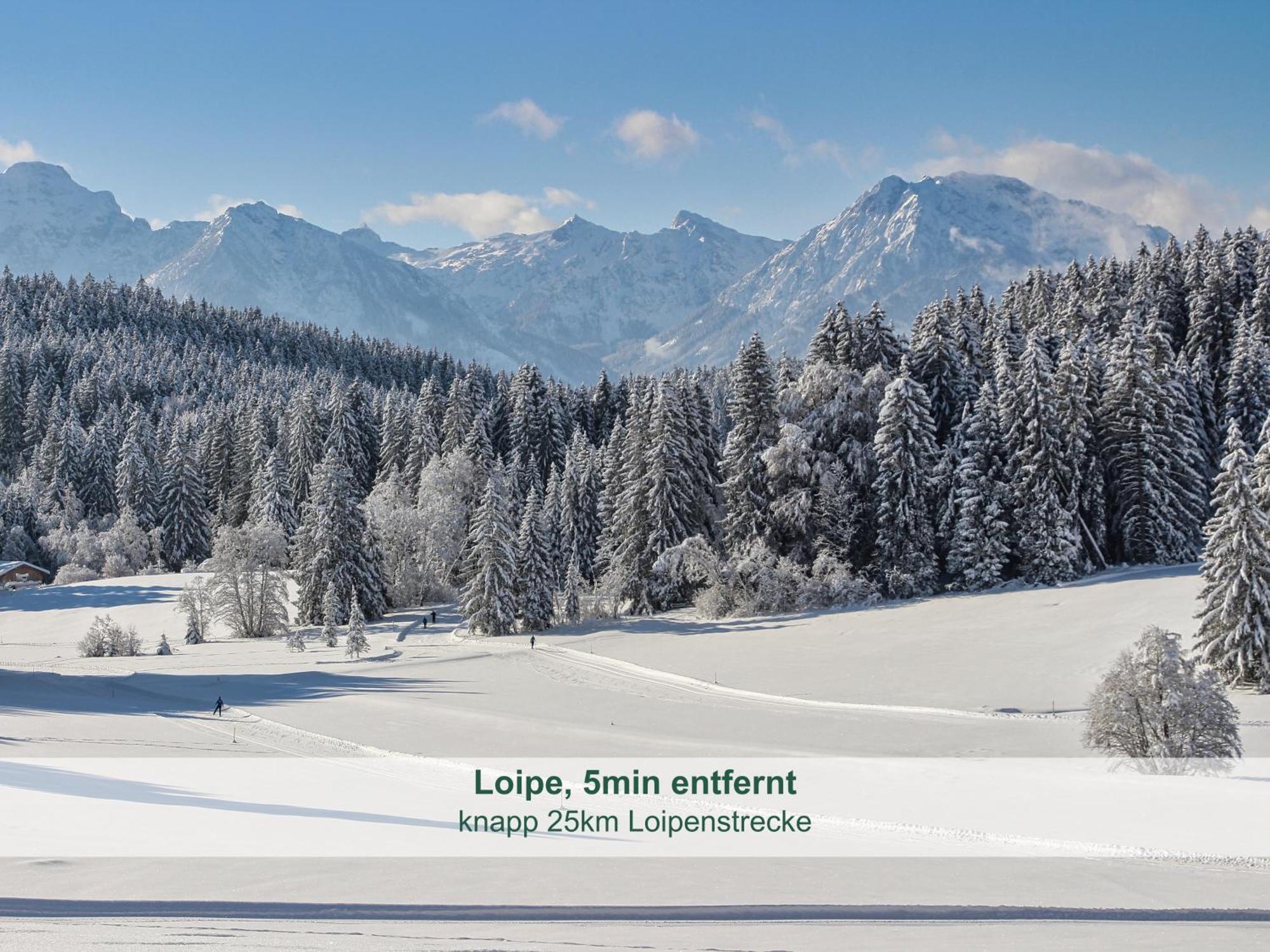 Chalet - Ferienwohnungen - Biohof Stoeger - Panoramasuedbalkon - Grandiose Aussicht Auf See, Berge Und Schloss Neuschwanstein Rieden Exterior foto
