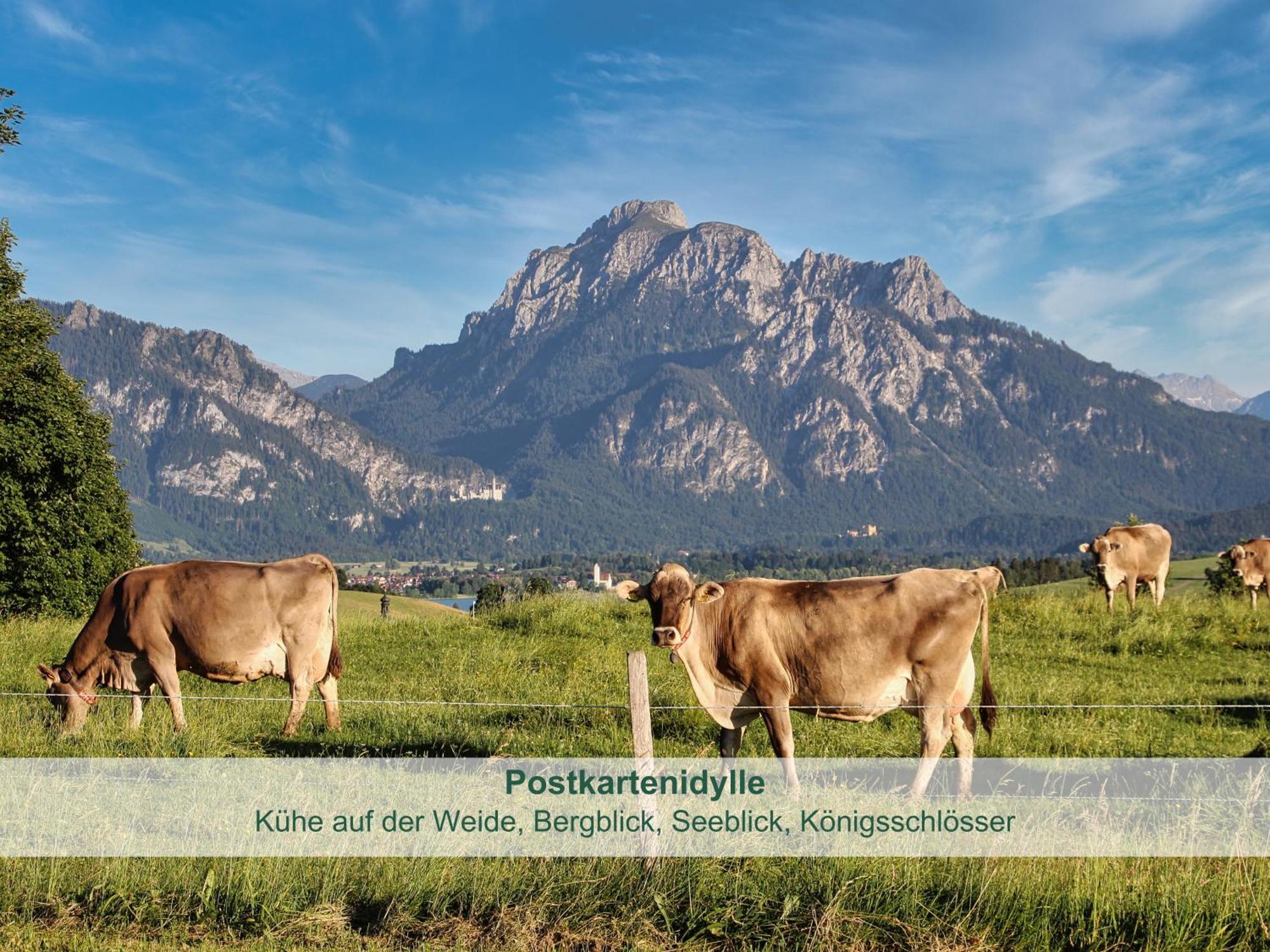 Chalet - Ferienwohnungen - Biohof Stoeger - Panoramasuedbalkon - Grandiose Aussicht Auf See, Berge Und Schloss Neuschwanstein Rieden Exterior foto