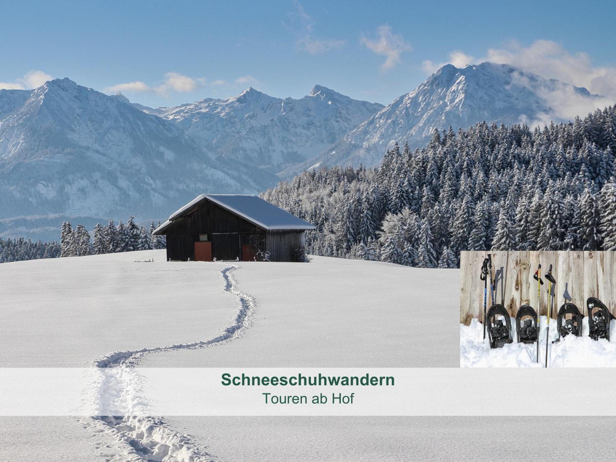 Chalet - Ferienwohnungen - Biohof Stoeger - Panoramasuedbalkon - Grandiose Aussicht Auf See, Berge Und Schloss Neuschwanstein Rieden Exterior foto