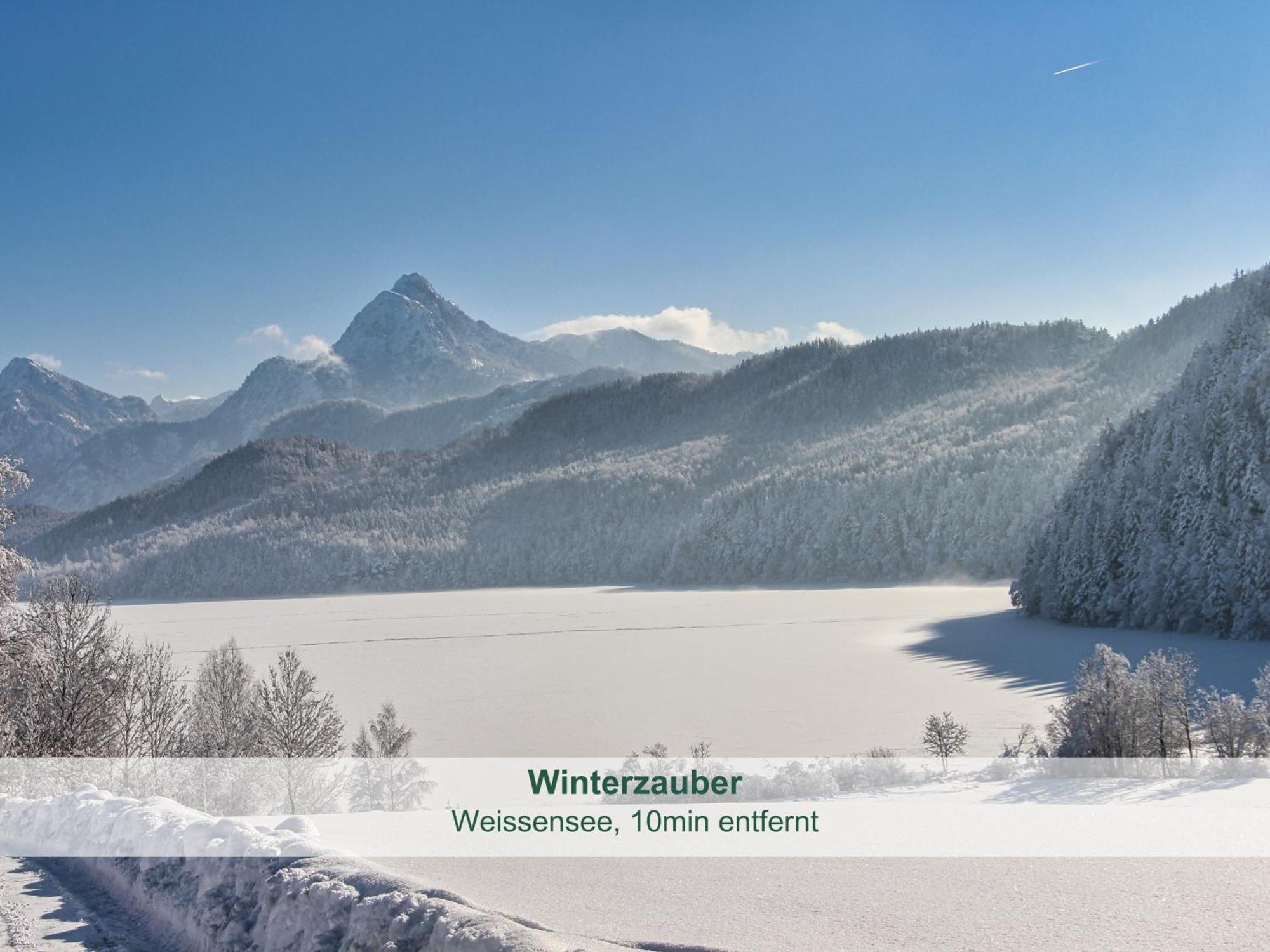Chalet - Ferienwohnungen - Biohof Stoeger - Panoramasuedbalkon - Grandiose Aussicht Auf See, Berge Und Schloss Neuschwanstein Rieden Exterior foto