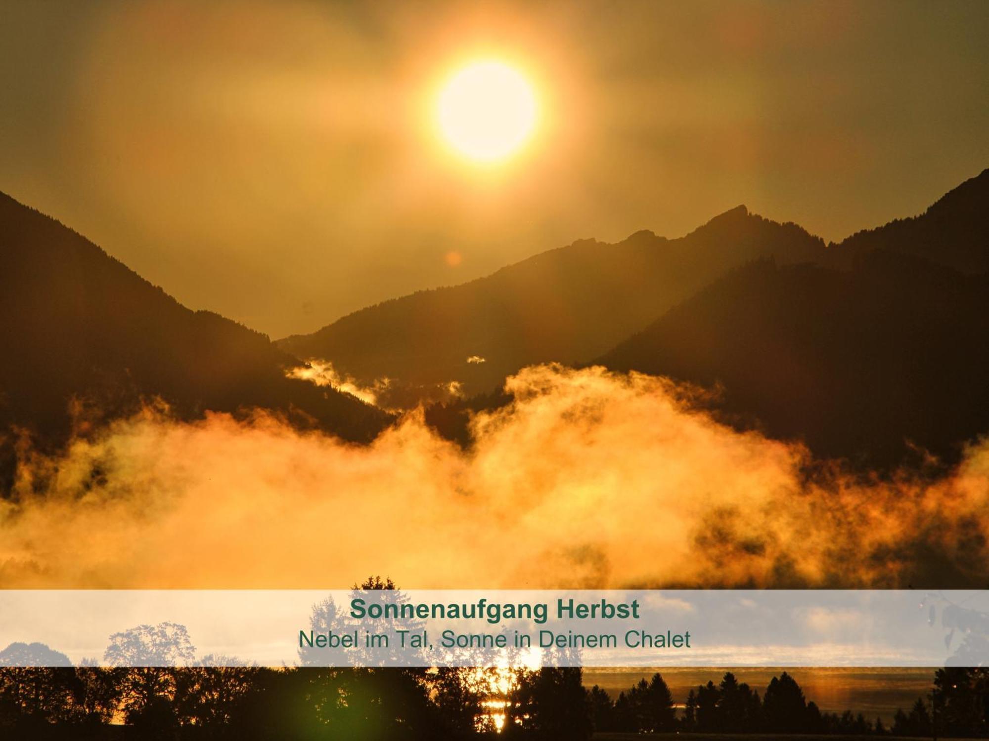 Chalet - Ferienwohnungen - Biohof Stoeger - Panoramasuedbalkon - Grandiose Aussicht Auf See, Berge Und Schloss Neuschwanstein Rieden Exterior foto